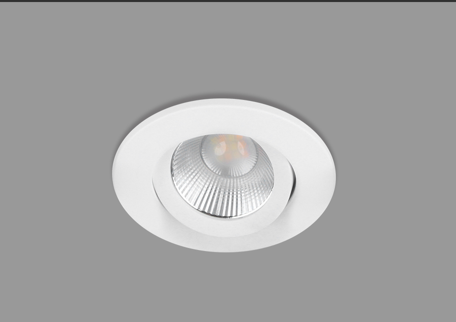 ADAYO fire rated down light